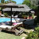 Casa Las Palmeras (Adults Only)
