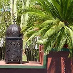 Casa Las Palmeras (Adults Only)