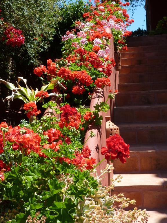 Hotel Casa Palmeras (adults Only) Marbella