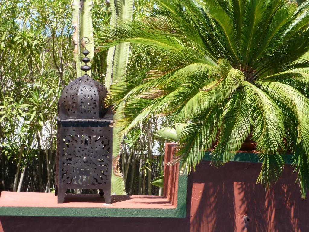 Hotel Casa Las Palmeras (adults Only) 3*