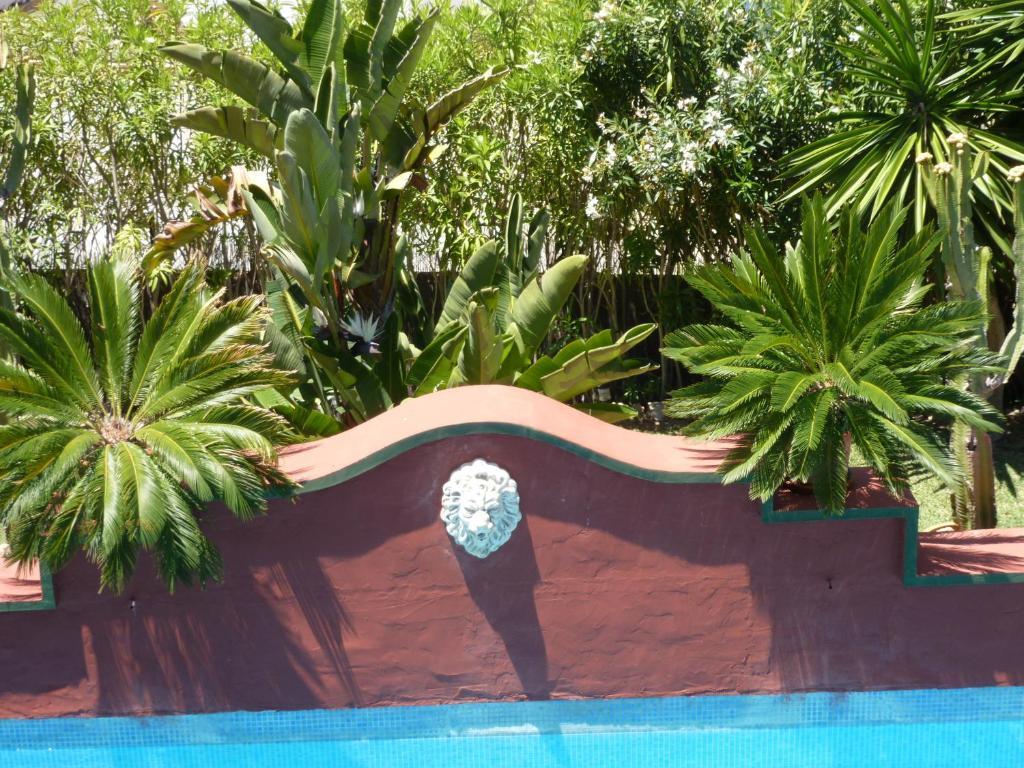 Hotel Casa Las Palmeras (adults Only)