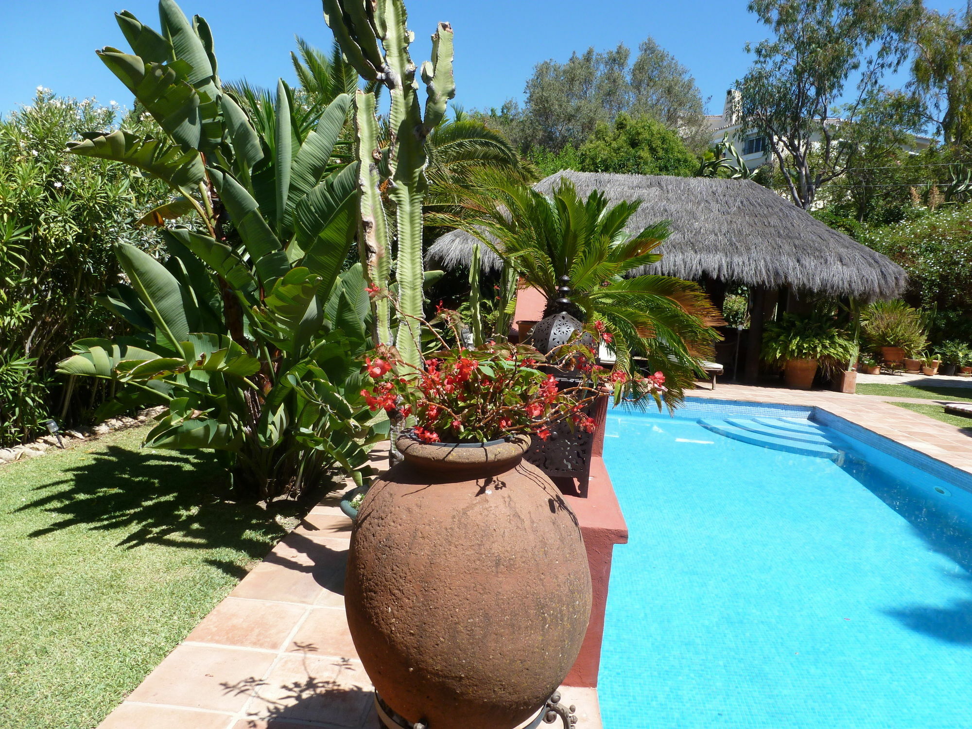 Casa Las Palmeras (adults Only) Hotel