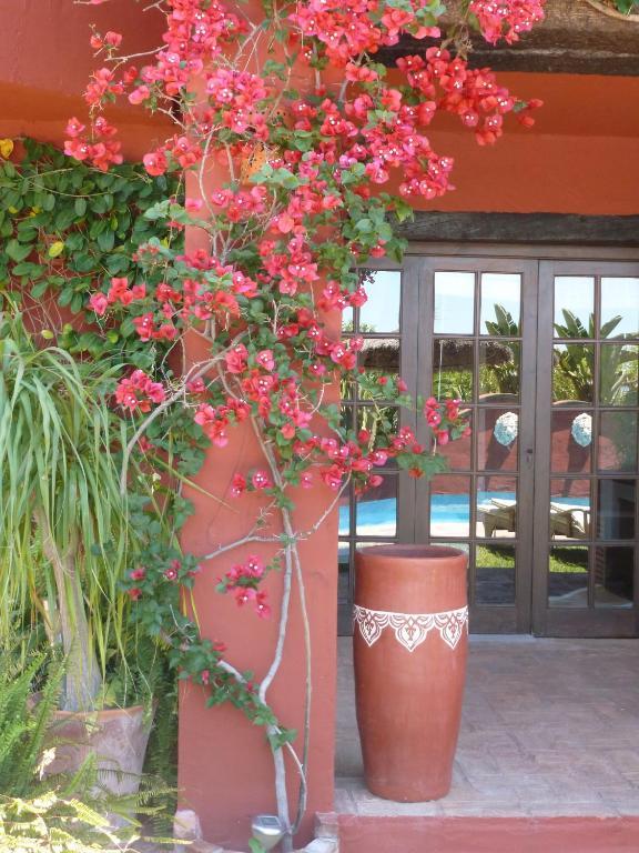 Hotel Casa Palmeras (adults Only) 3*